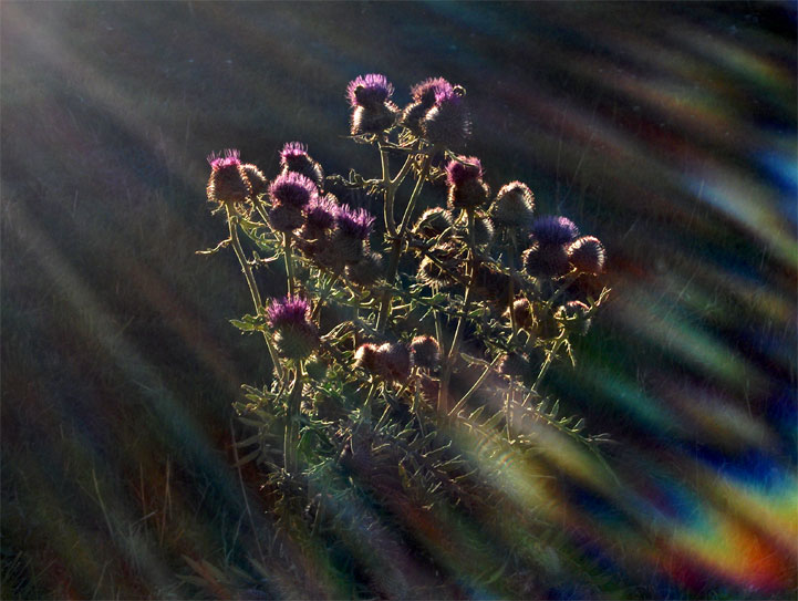 Saint-Jean-d'Arves - Savoie - 2005 © Daniel Schipper