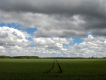 25 mai - Agriglyphe - Magny-les-Hameaux - Yvelines - 2006 © Daniel Schipper