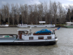 17 janvier - Pax Fluctua - Suresnes - Ile-de-France - 2007 © Daniel Schipper