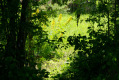 120705.jpg - 120705.jpg
